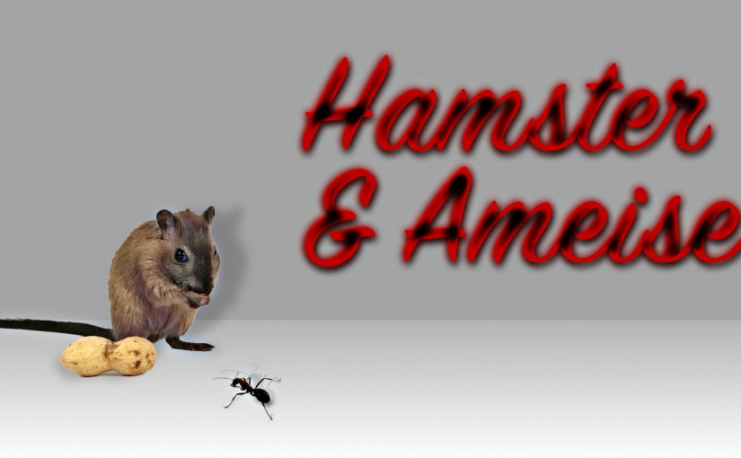 «Hamster und Ameise» – eine Kurzgeschichte